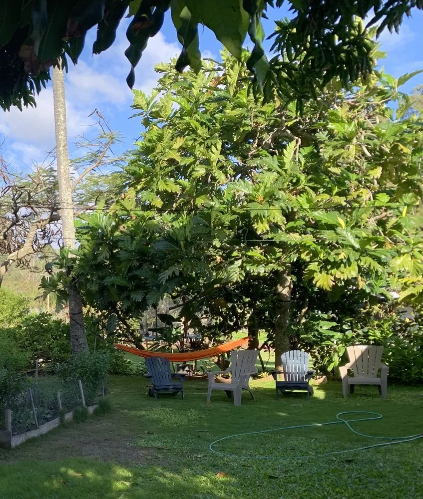 Top-rated yard cleanup service experts serving Pearl City, HI - Imua Landscaping