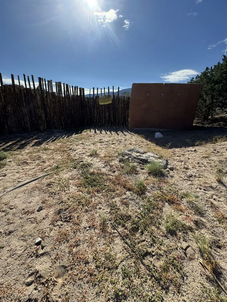 Professional yard cleanup service for homes across Albuquerque, NM - In & Out Bros