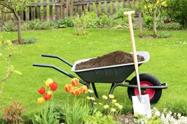 Affordable garden landscaping in Saint Albans, WV - In & Out Home Detailing