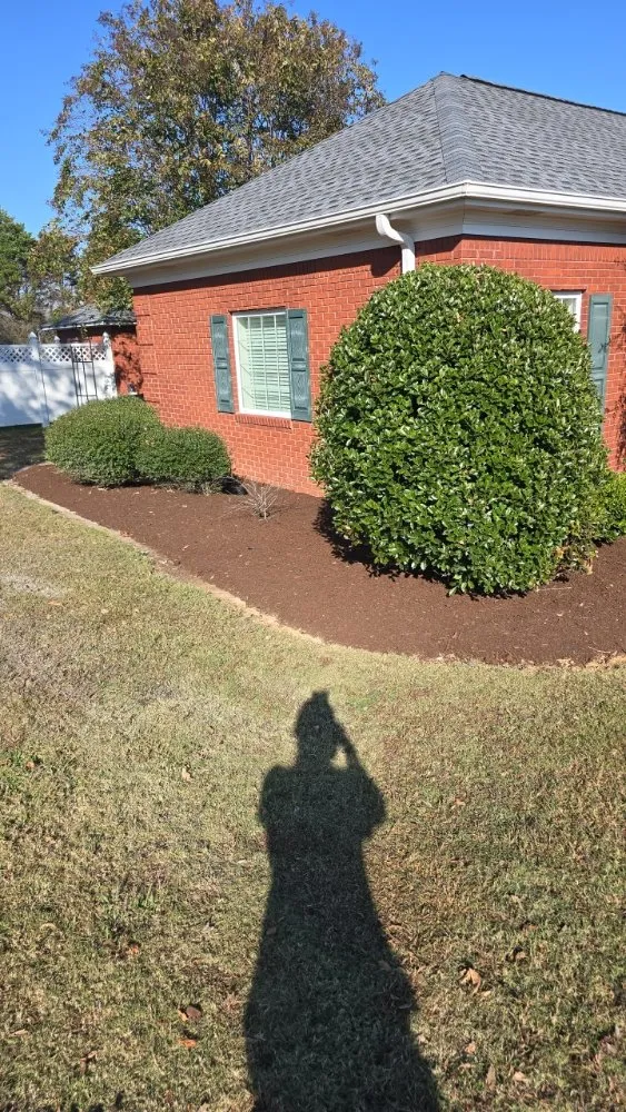 Expert residential landscaping near you across Trenton, TN - In & Out Lawncare