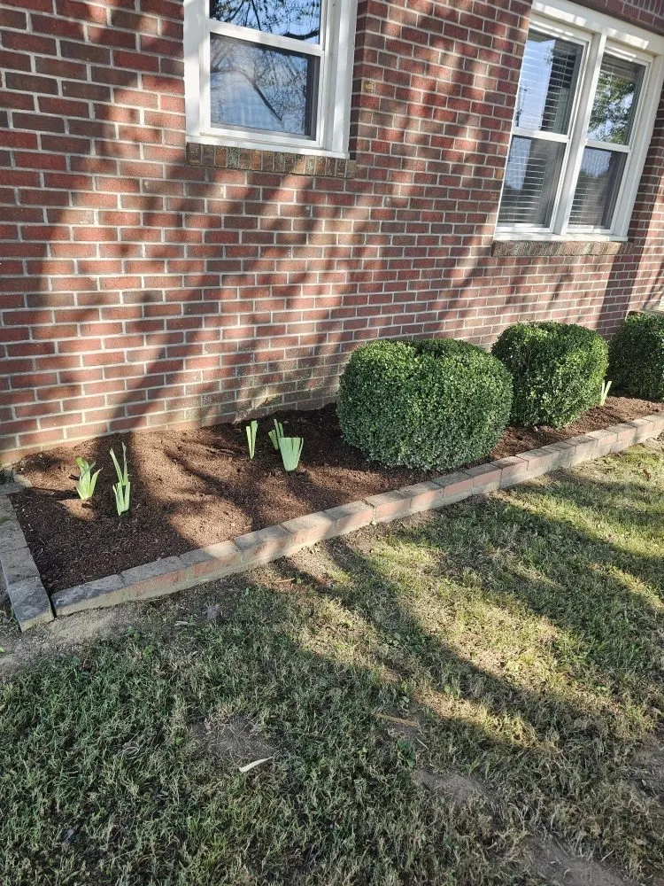 Top-rated outdoor landscaping in Trenton, TN by In & Out Lawncare