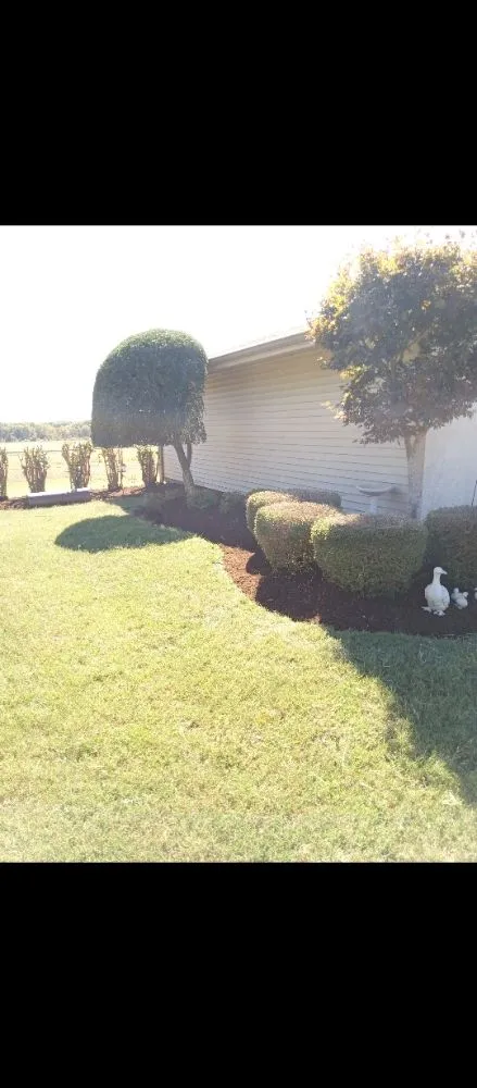 Expert lawn care service for residential properties across Trenton, TN - In & Out Lawncare