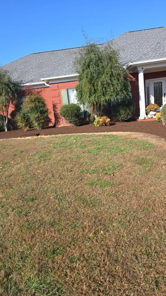 Top-rated yard cleanup service for beautiful yards across Trenton, TN - In & Out Lawncare