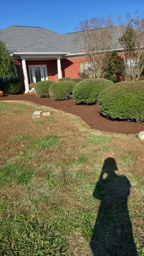 Reliable yard maintenance with custom design across Trenton, TN - In & Out Lawncare