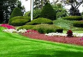 Trusted yard cleanup service for residential properties in Elmhurst, IL by In & Out Maintenance Service, Inc.