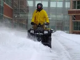 Custom yard cleanup service in Elmhurst, IL - In & Out Maintenance Service, Inc.