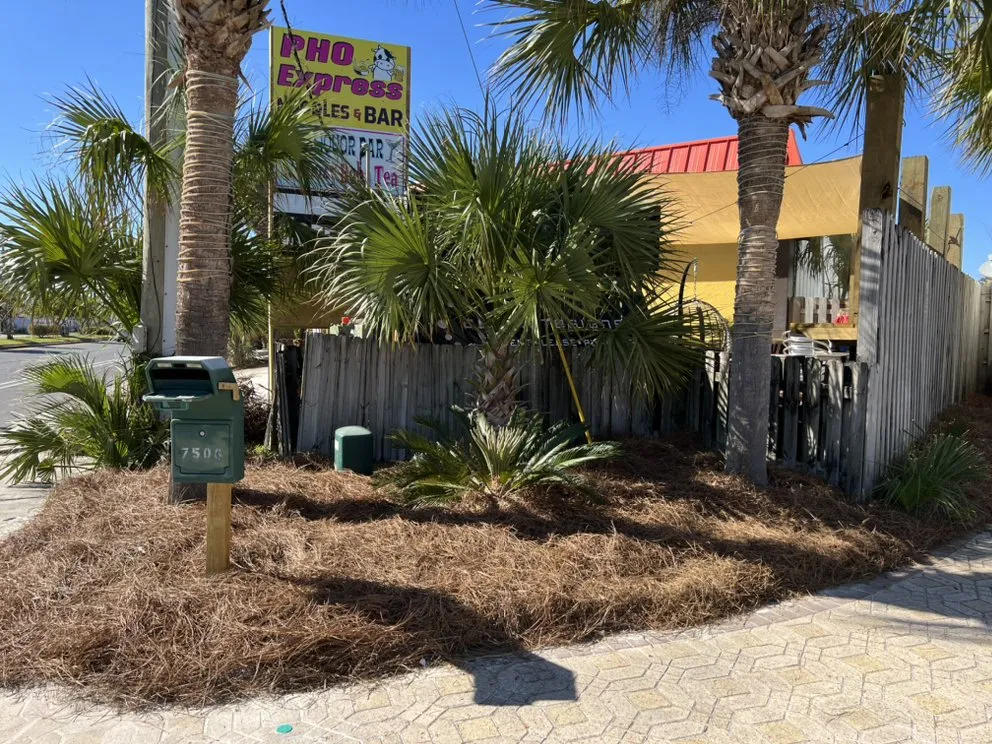 Trusted yard cleanup service in Panama City, FL - In & Out Pressure Washing & Landscaping