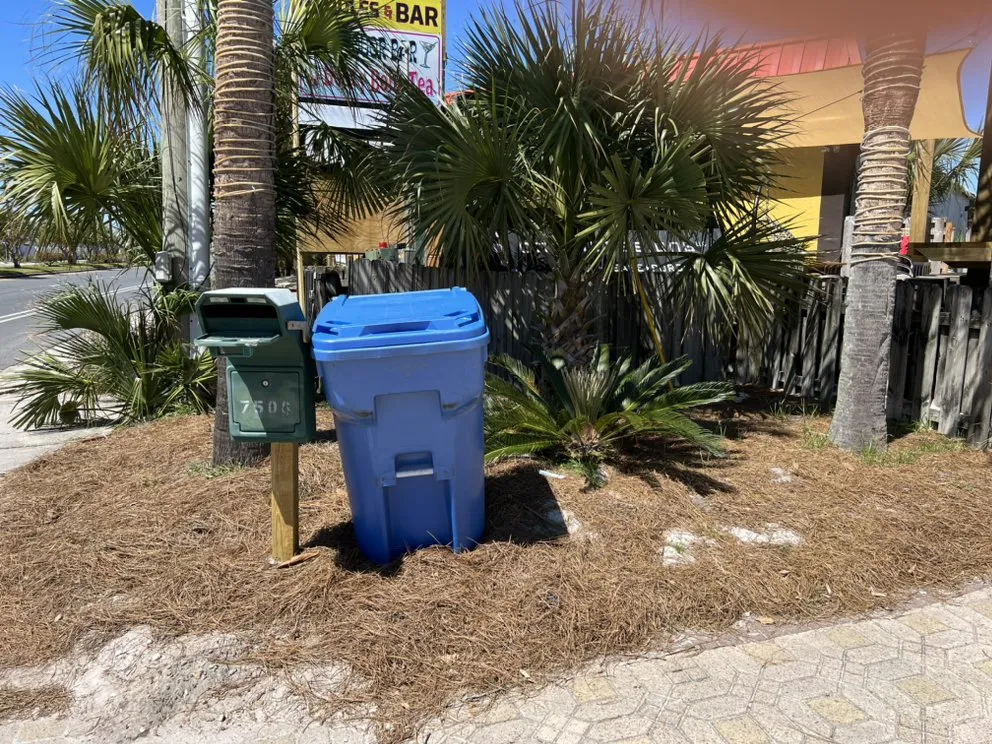 Reliable yard cleanup service in Panama City, FL - In & Out Pressure Washing & Landscaping