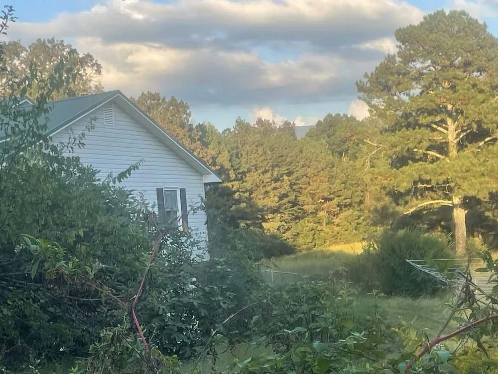 Local landscaping services for year-round maintenance across Chatsworth, GA - In & Outdoor Solution Pros