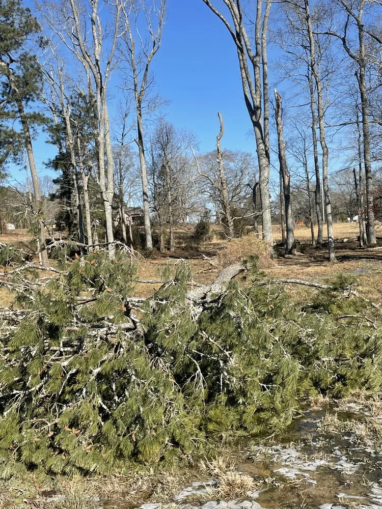 Top-rated lawn mowing service in Chatsworth, GA - In & Outdoor Solution Pros