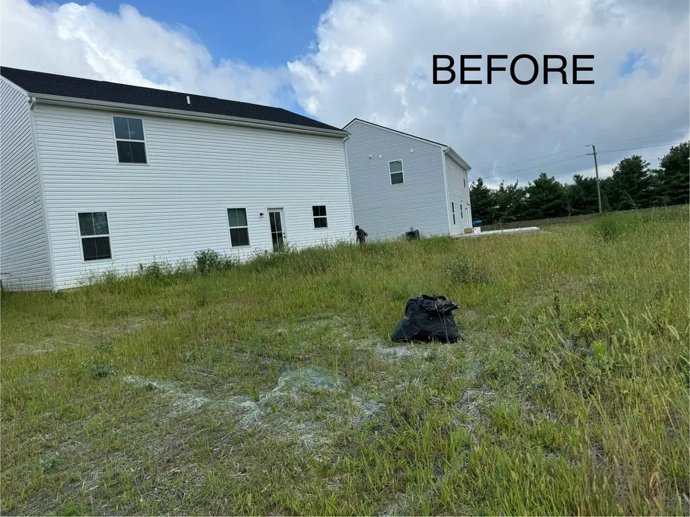 Affordable landscape design for residential properties across Camby, IN - In A Flash Mowing