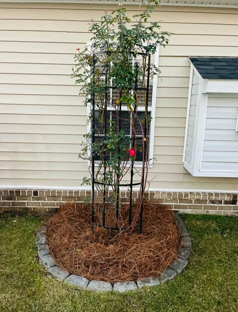 Affordable outdoor landscaping for outdoor upgrades in Florence, SC by In A Jiffy