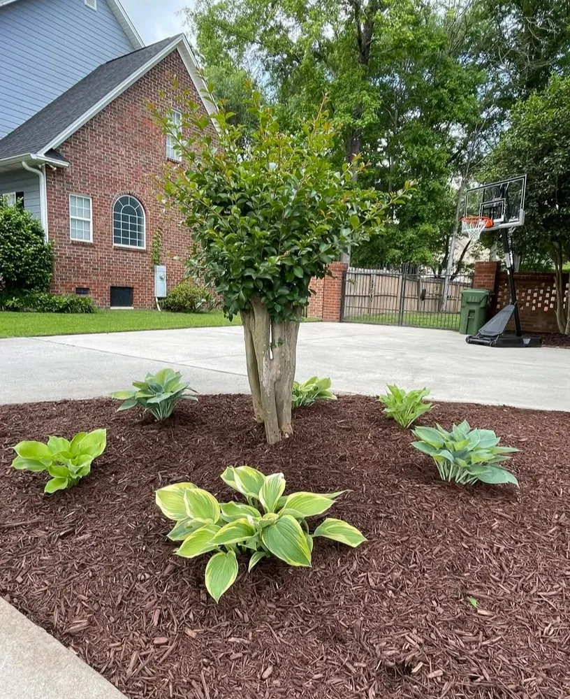 Expert residential landscaping in Florence, SC by In A Jiffy