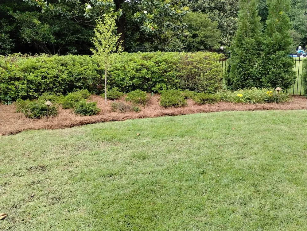 Custom yard maintenance in Florence, SC by In A Jiffy
