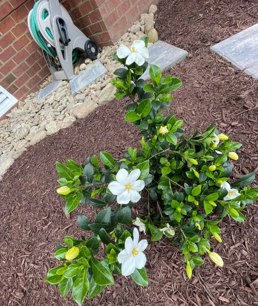 Trusted outdoor landscaping in Florence, SC by In A Jiffy