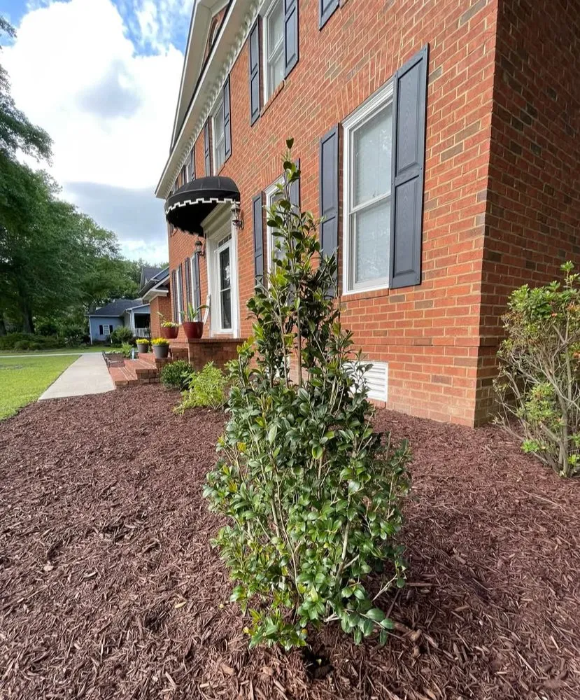 Reliable landscape design for residential properties across Florence, SC - In A Jiffy