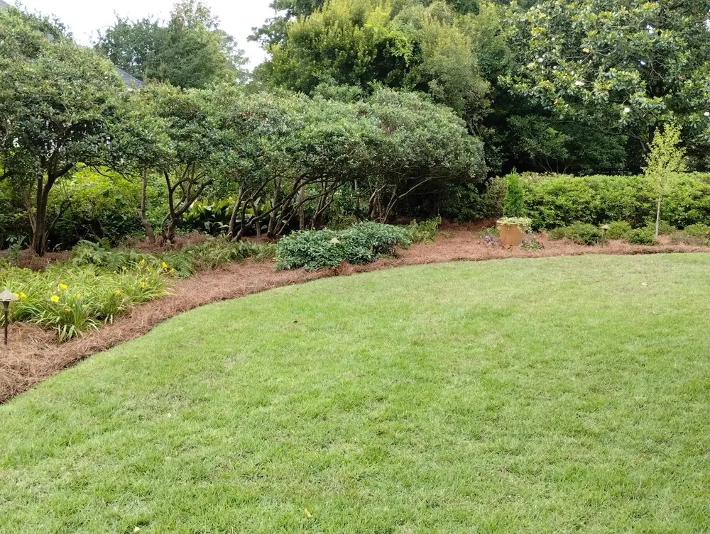 Professional residential landscaping for beautiful yards across Florence, SC - In A Jiffy
