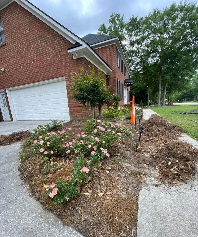 Reliable yard cleanup service experts serving Florence, SC - In A Jiffy