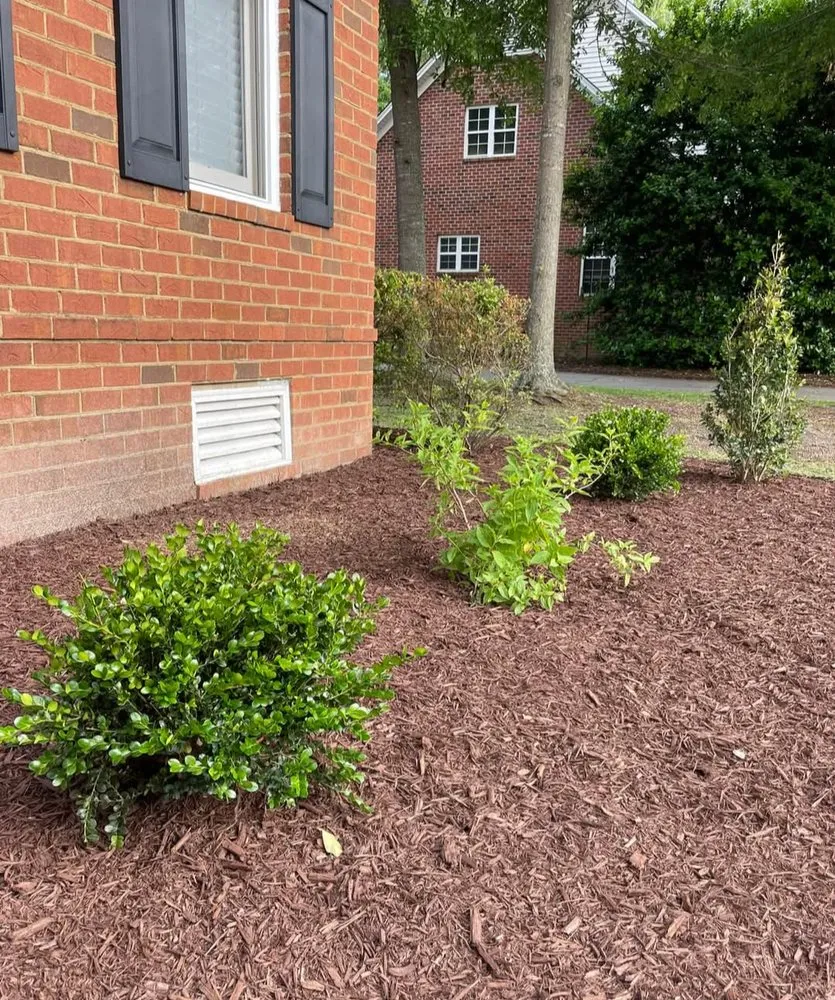 Expert yard maintenance in Florence, SC - In A Jiffy