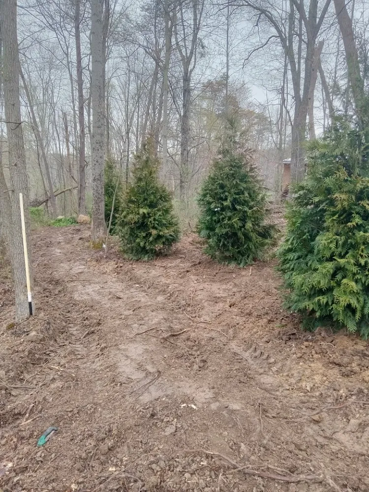 Trusted yard cleanup service experts serving Bremen, OH - In and Out Creations