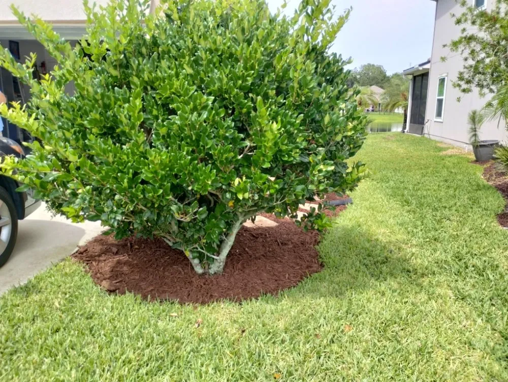 Reliable garden landscaping for year-round maintenance in St. Augustine, FL by In and Out Landscaping and Cleaning