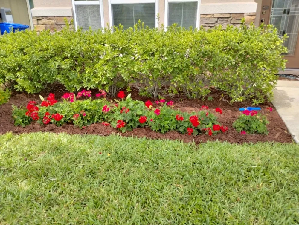 Expert garden landscaping with custom design across St. Augustine, FL - In and Out Landscaping and Cleaning