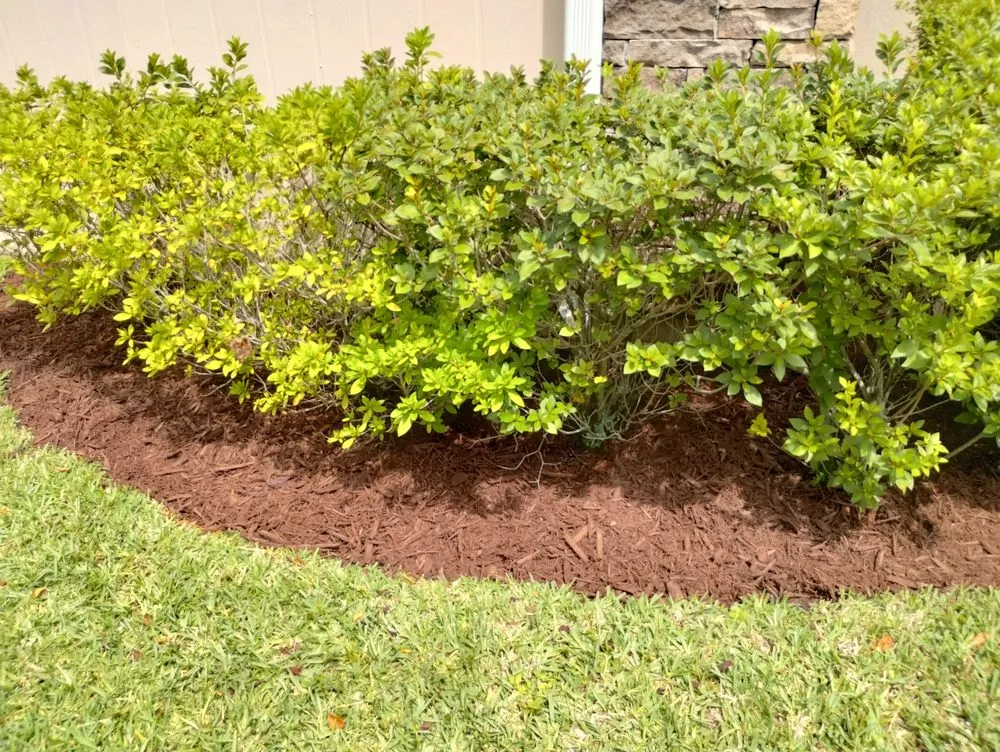 Local landscaping services in St. Augustine, FL by In and Out Landscaping and Cleaning