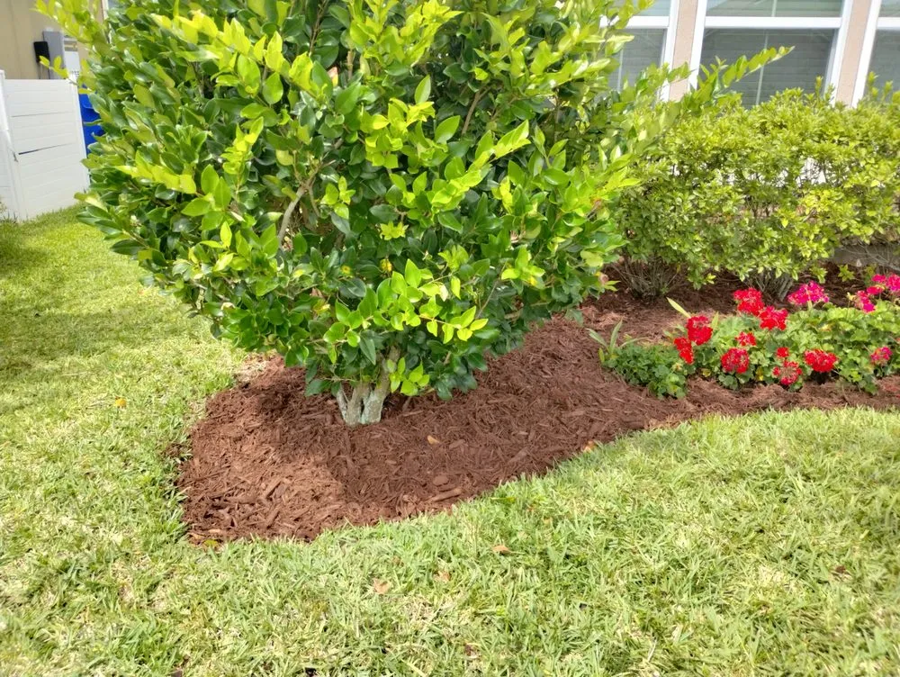 Top-rated yard maintenance near you in St. Augustine, FL by In and Out Landscaping and Cleaning