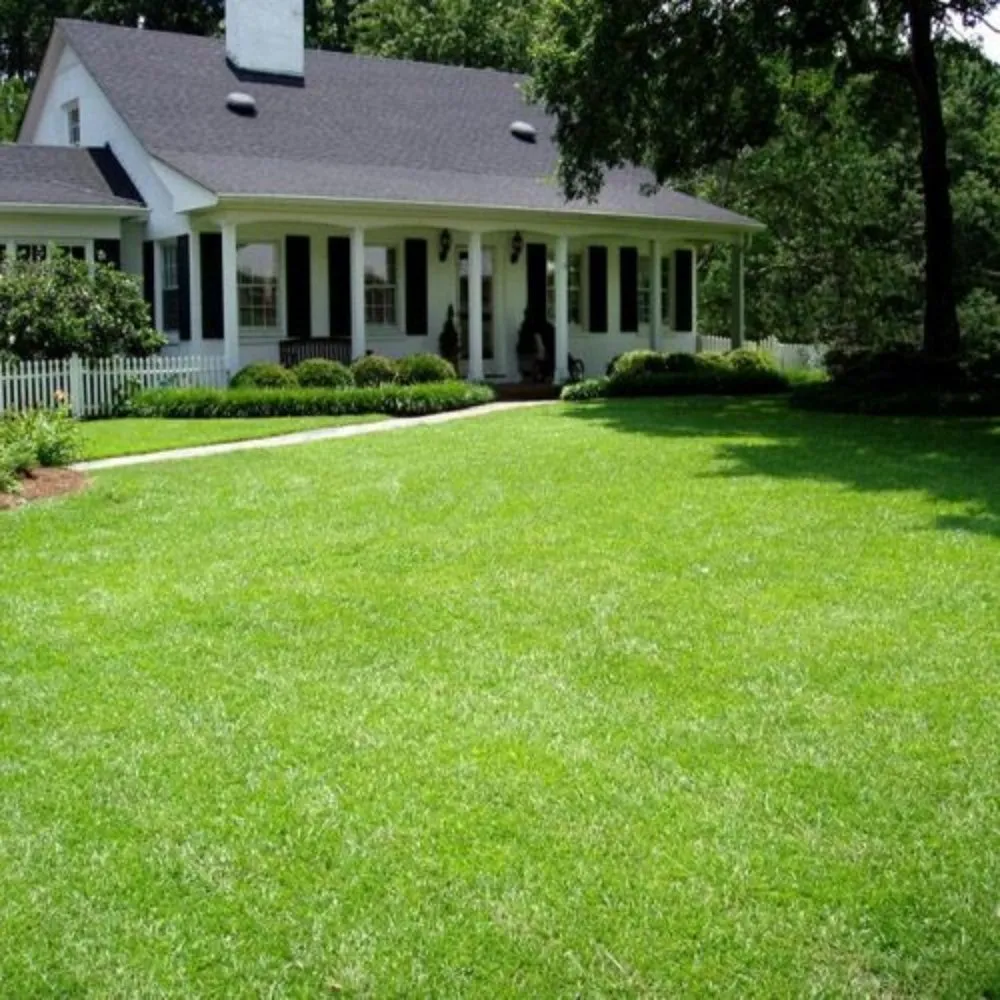 Local landscaping services for homes in Rayne, LA by In and out lawncare