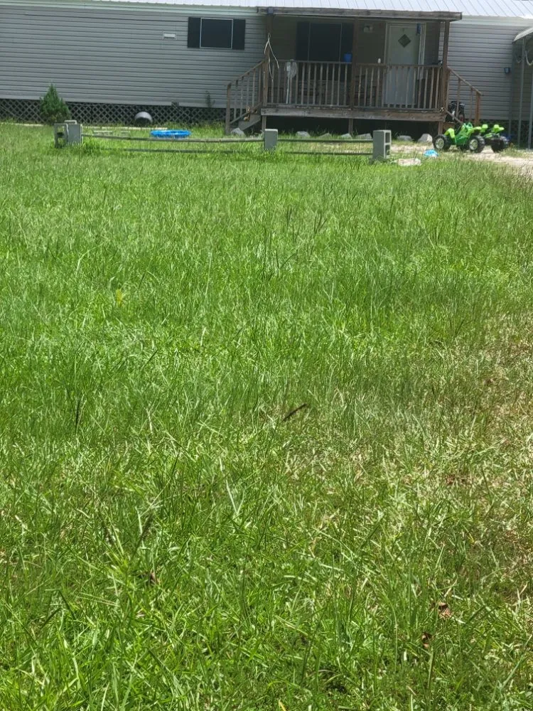 Professional landscape installation in Rayne, LA by In and out lawncare