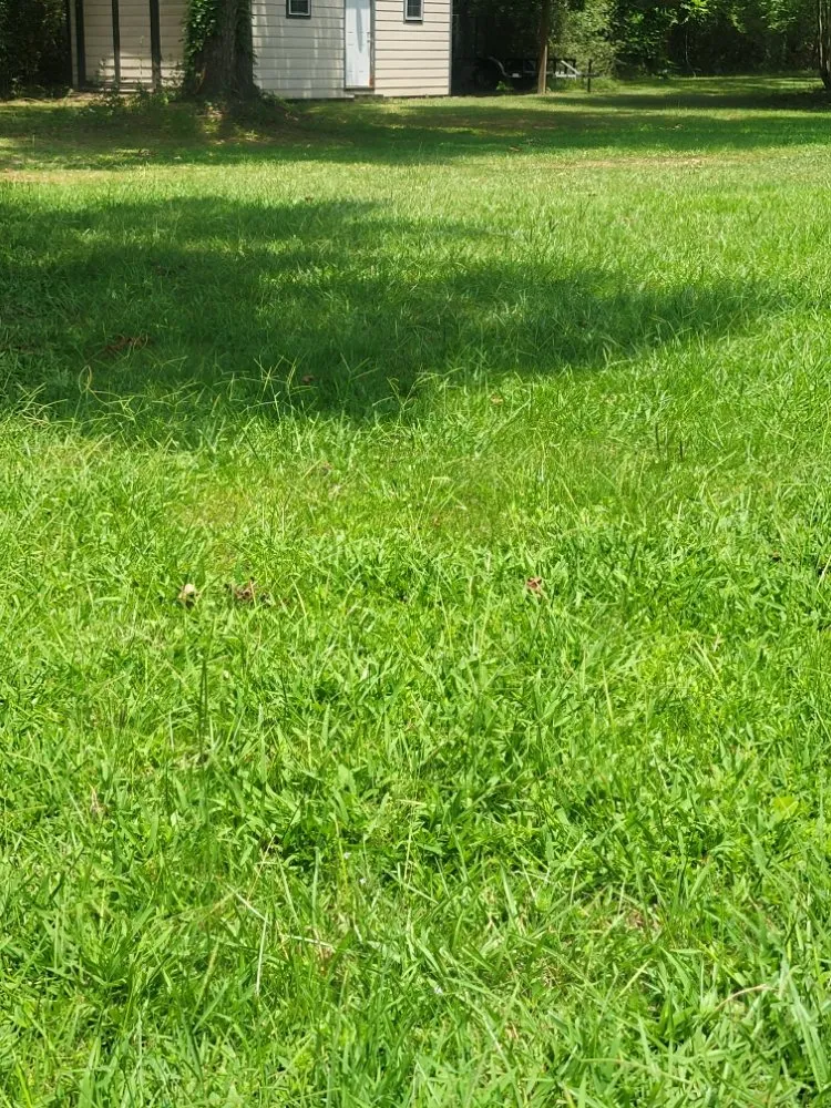 Local residential landscaping in Rayne, LA - In and out lawncare