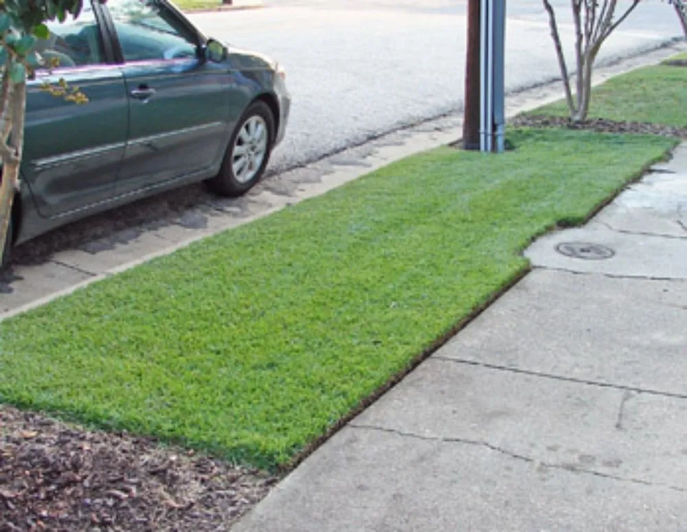 Affordable landscape installation in Rayne, LA by In and out lawncare