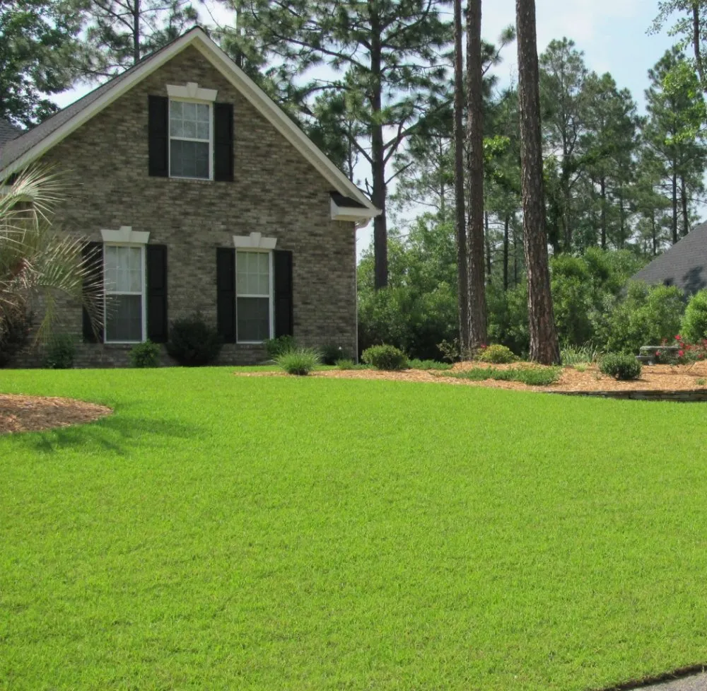 Custom lawn care service in Rayne, LA - In and out lawncare