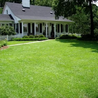 In and out lawncare