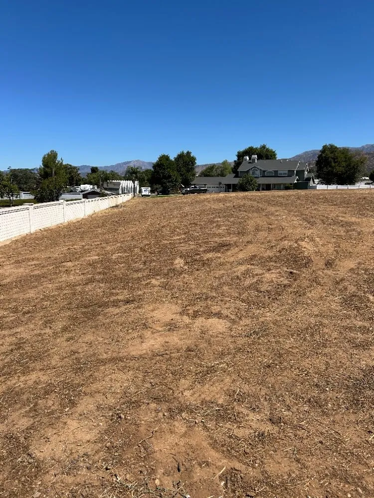 Professional landscape installation for beautiful yards in Sun City, CA by In and Out Property Services