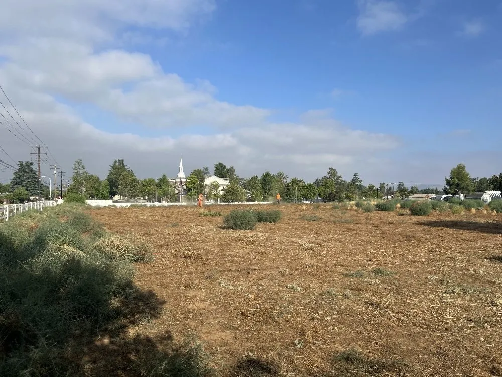 Professional lawn mowing service experts serving Sun City, CA - In and Out Property Services