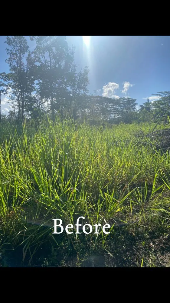 Local lawn mowing service in Hilo, HI by In and Out Yard Service