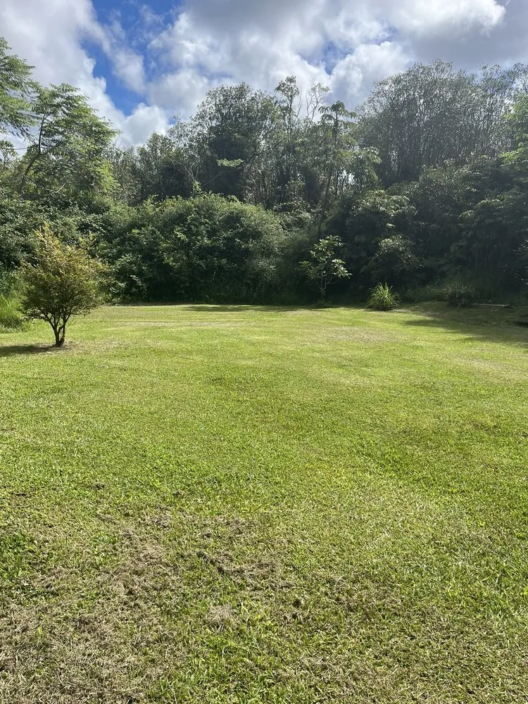 Affordable lawn mowing service near you across Hilo, HI - In and Out Yard Service