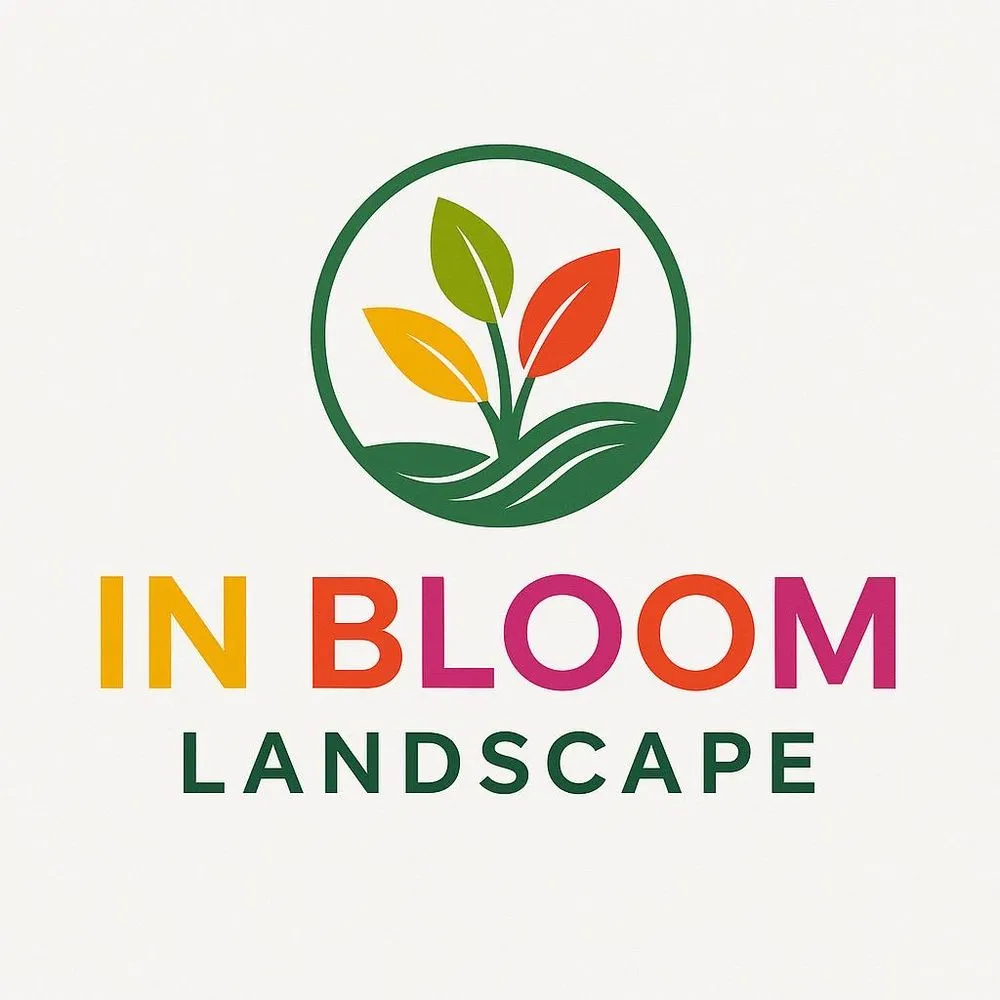 Affordable lawn care service for outdoor upgrades across El Jebel, CO - In bloom Landscape