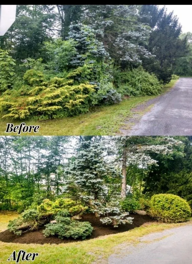 Custom lawn care service in Cresco, PA by In Bloom Landscape Service