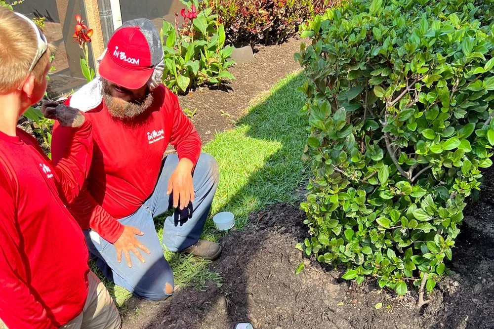 Professional yard cleanup service experts serving Sarasota, FL - In Bloom Lawn & Landscape