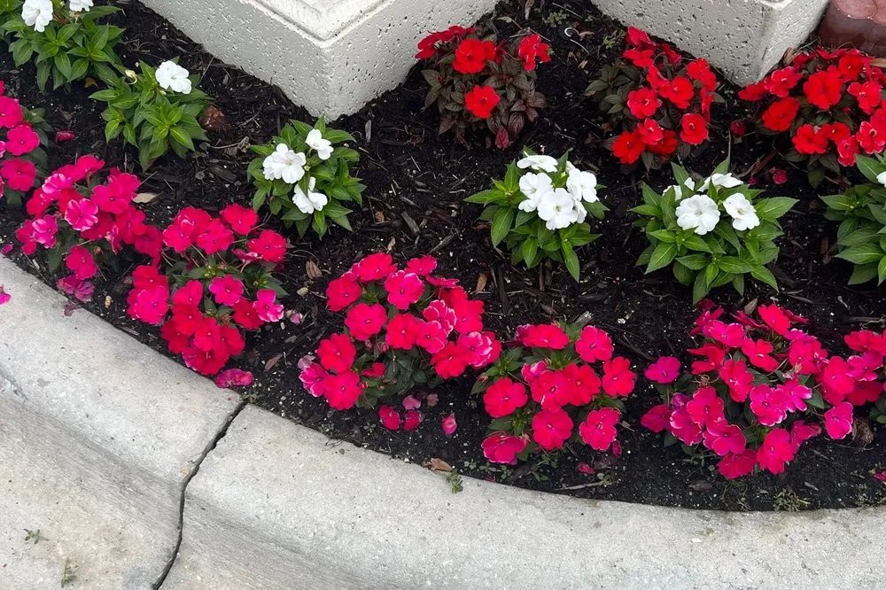 Trusted landscaping services for residential properties across Sarasota, FL - In Bloom Lawn & Landscape