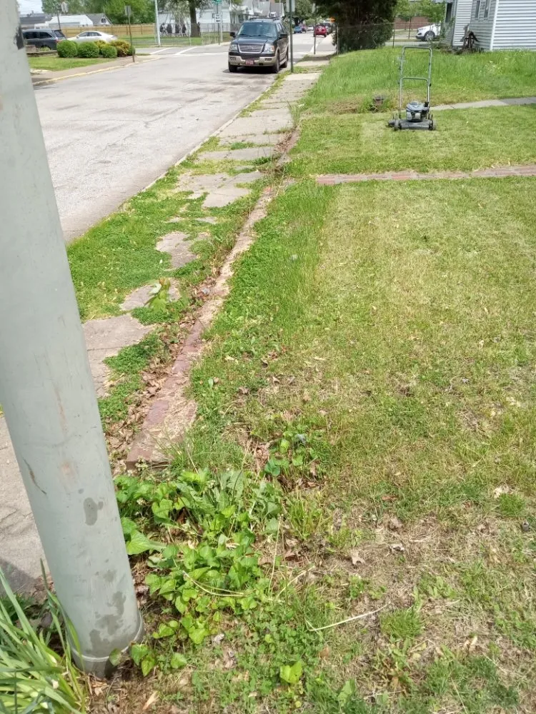 Reliable landscaping services experts serving Evansville, IN - In D Cutz