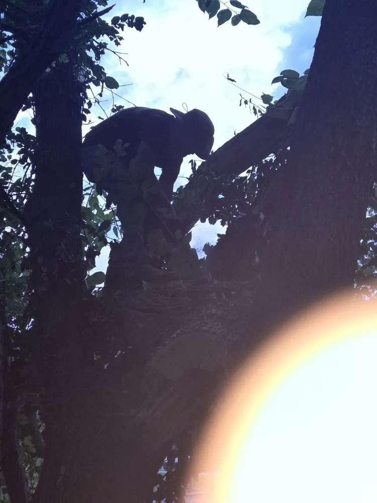 Top-rated lawn care service experts serving Caney, KS - In Dew Time