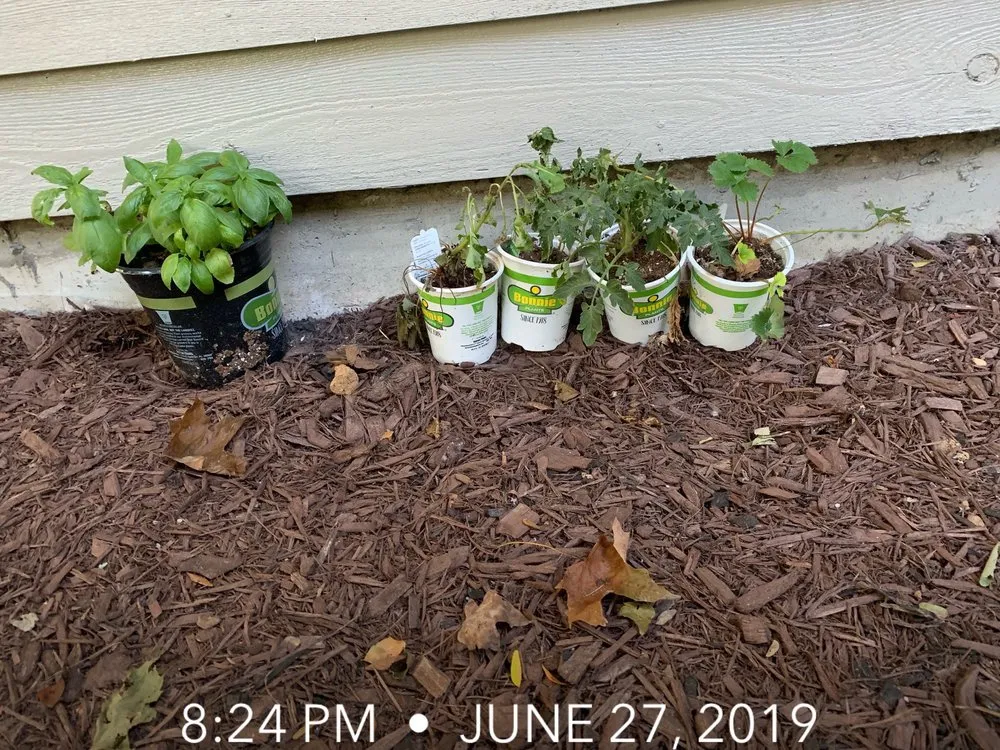 Custom landscaping services in Cincinnati, OH by In Every Season Services