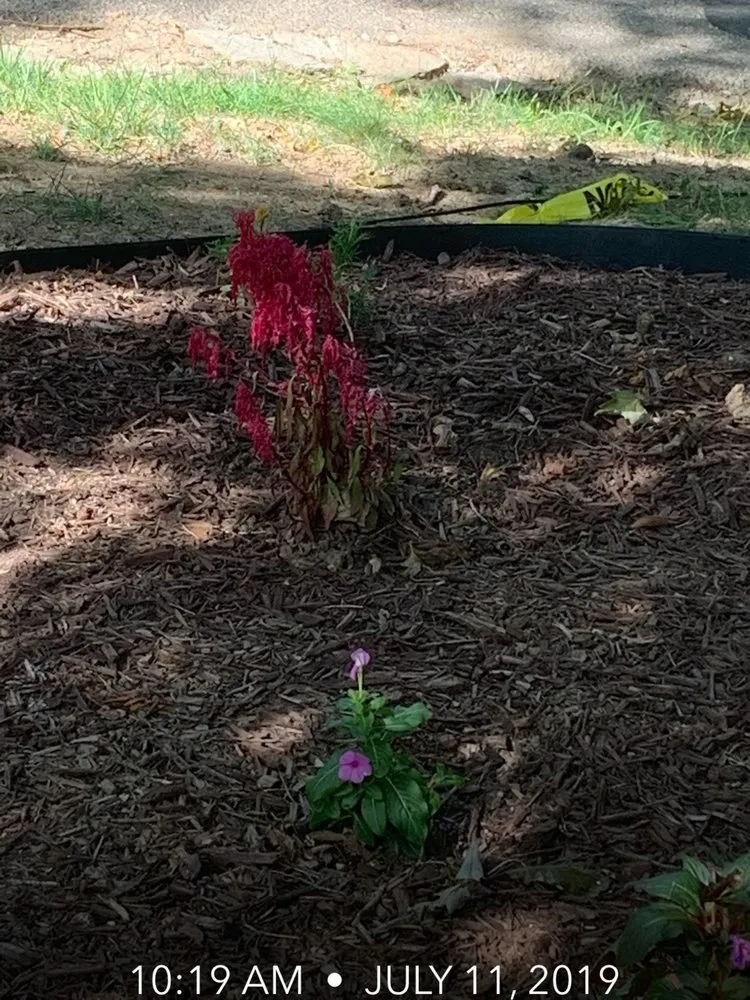 Trusted garden landscaping for beautiful yards in Cincinnati, OH by In Every Season Services