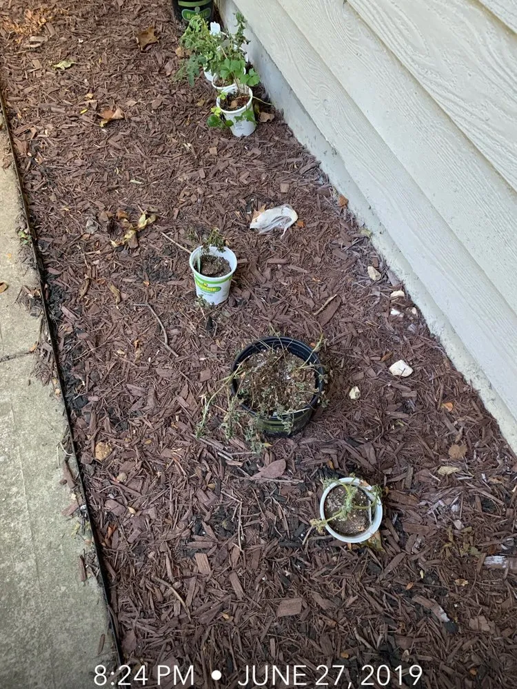 Custom landscape installation experts serving Cincinnati, OH - In Every Season Services