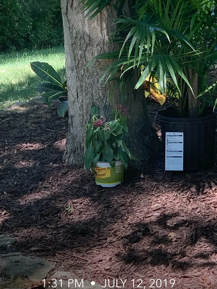 Top-rated lawn mowing service in Cincinnati, OH by In Every Season Services