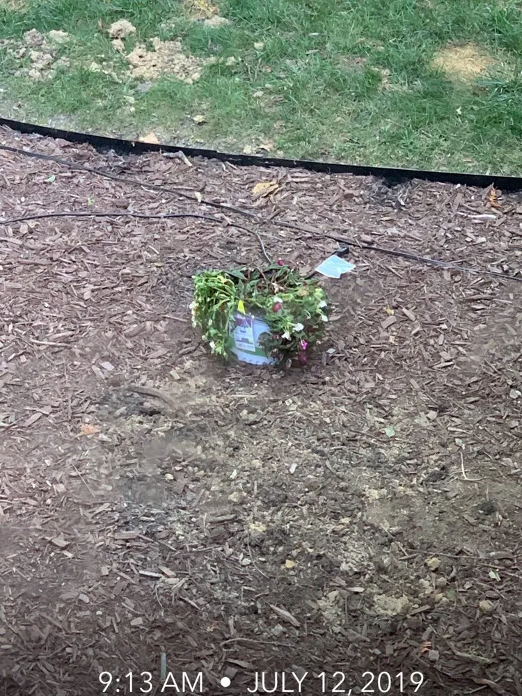 Reliable lawn mowing service for residential properties in Cincinnati, OH by In Every Season Services