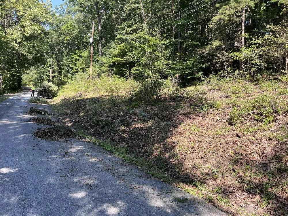 Expert yard maintenance experts serving Front Royal, VA - In God We Trust Handyman